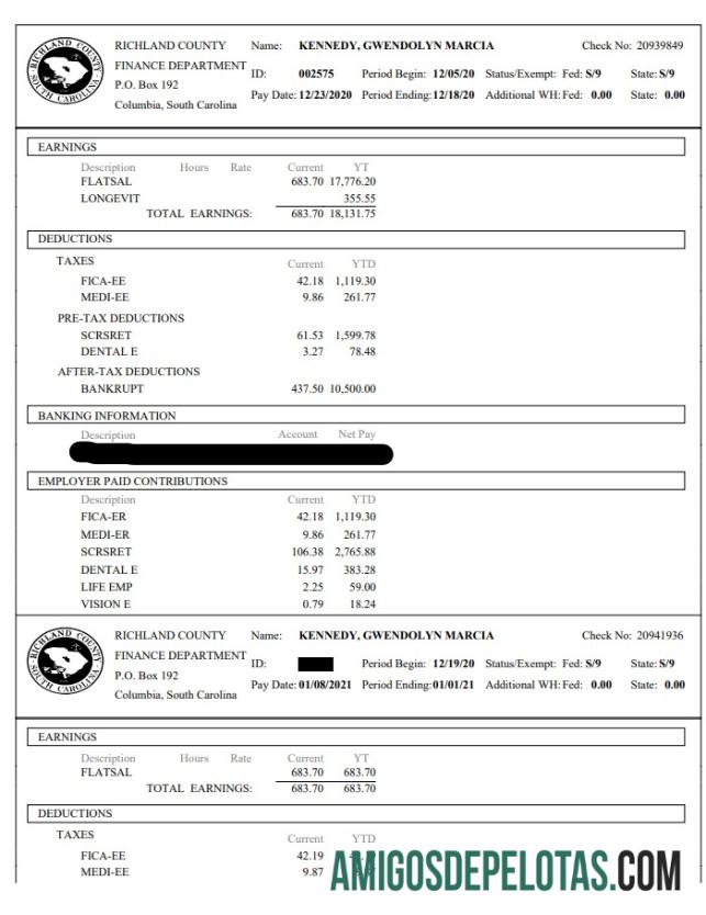Esboço de pagamento do Departamento Financeiro do Condado de Richland baixar para verificação